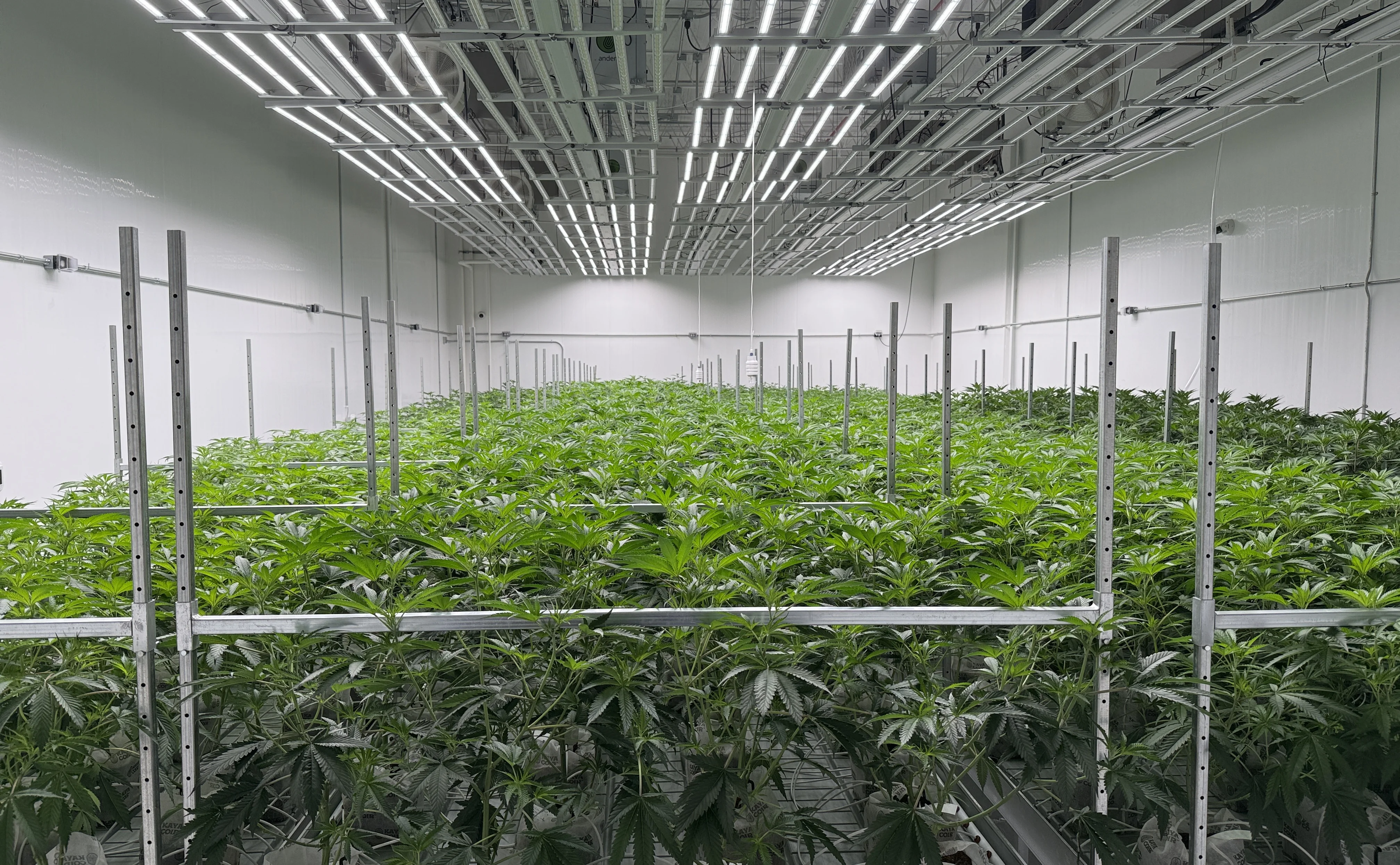 Skyworld Cannabis Cultivation Facility